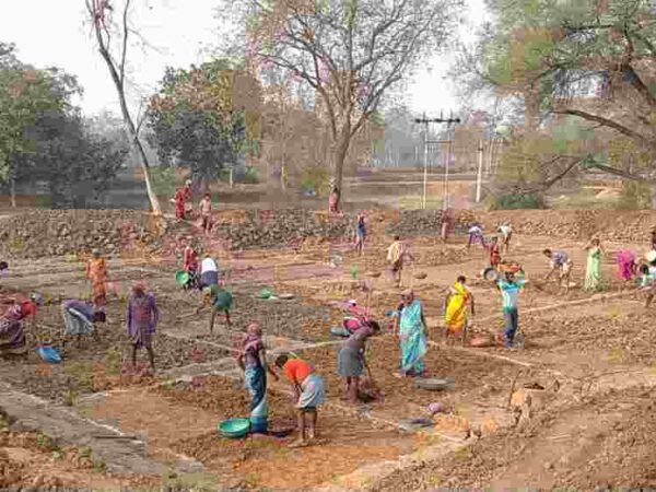 मनरेगा: पूरे छत्तीसगढ़ में लक्ष्य से ज्यादा मानव दिवस का रोजगार दिलाकर महासमुन्द पहले पायदान पर   लगभग 87 लाख श्रमिकों को मिला रोजगार
