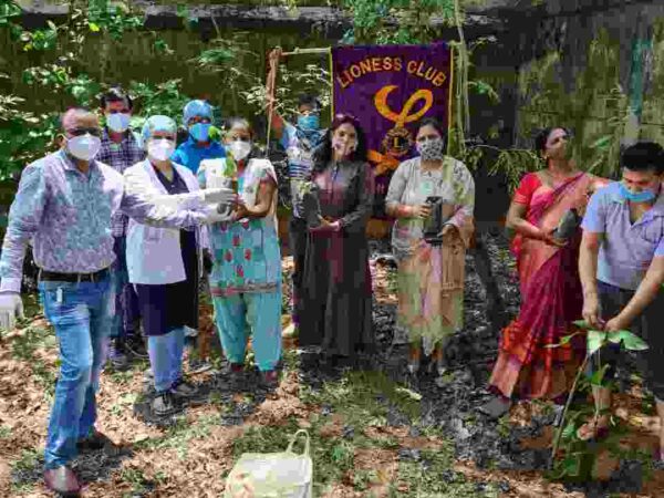 विश्व पर्यावरण दिवस के अवसर पर लायनेस क्लब रायगढ़ रूरल के द्वारा वृक्षारोपण किया गया