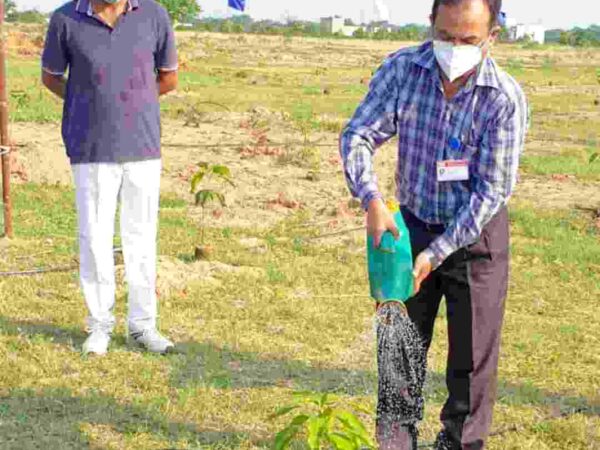 विश्व पर्यावरण दिवस पर एनटीपीसी लारा ने लगाए 1000 पौधे और ली पर्यावरण संरक्षण की शपथ