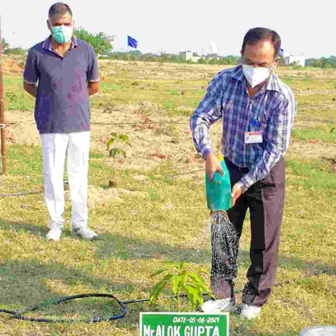 विश्व पर्यावरण दिवस पर एनटीपीसी लारा ने लगाए 1000 पौधे और ली पर्यावरण संरक्षण की शपथ