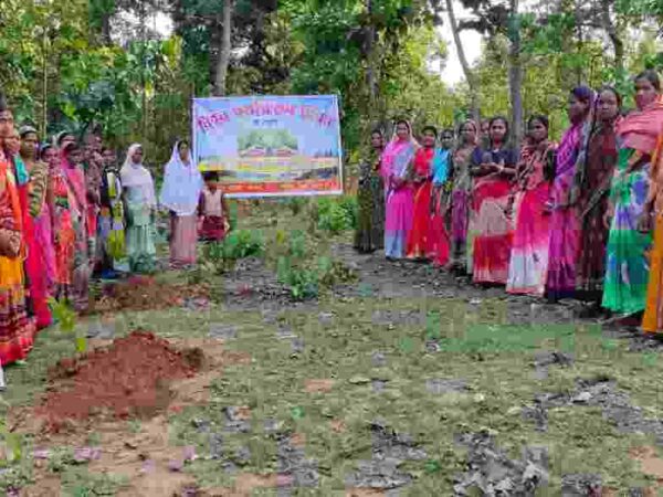 लक्ष्य से अधिक वृक्षारोपण करने पर संसदीय सचिव मिंज ने सभी का किया आभार,60 हजार से अधिक पौधे रोपे गए