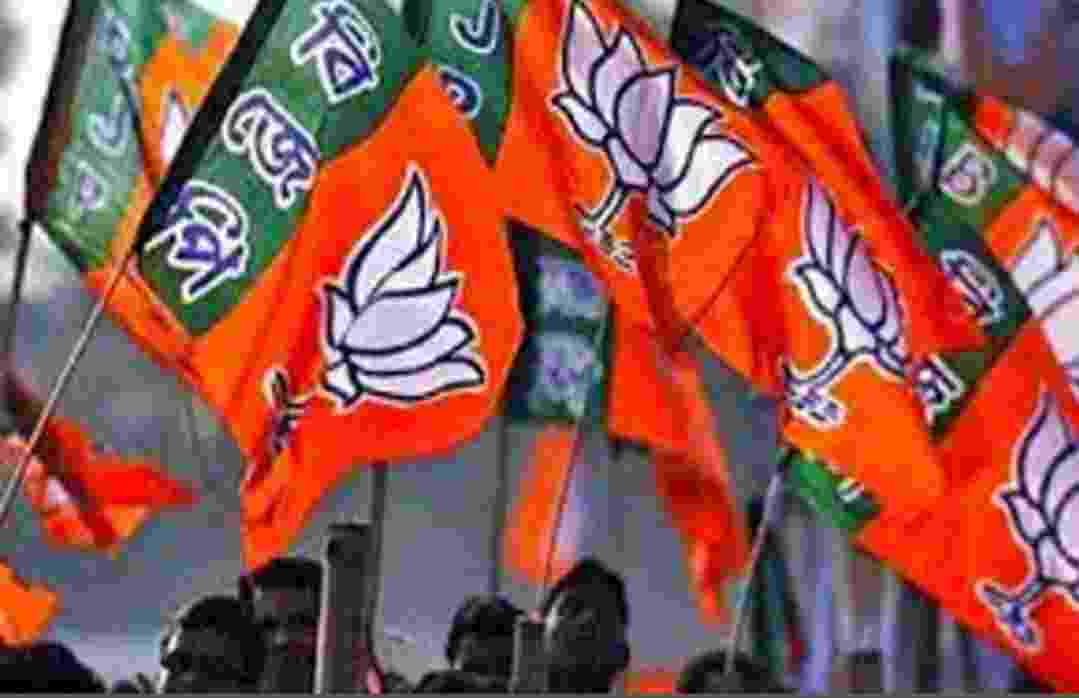 भाजयुमो पदाधिकारियों के गठन को लेकर जशपुर में फंस गया ऐसा पेंच…. सूची जारी नहीं हो सका