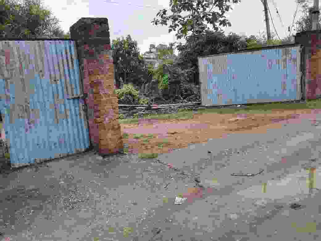लोरमी- पूर्व नपा उपाध्यक्ष के मिल में वन विभाग ने आज नोटिस चस्पा की ,3 दिन के भीतर जवाब देने कहा