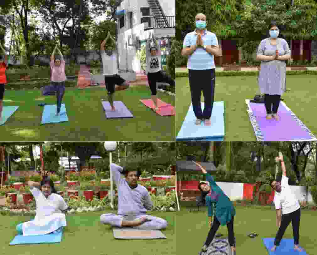 अंतर्राष्ट्रीय योग दिवस का आयोजन एसईसीएल के समस्त क्षेत्रों में किया गया