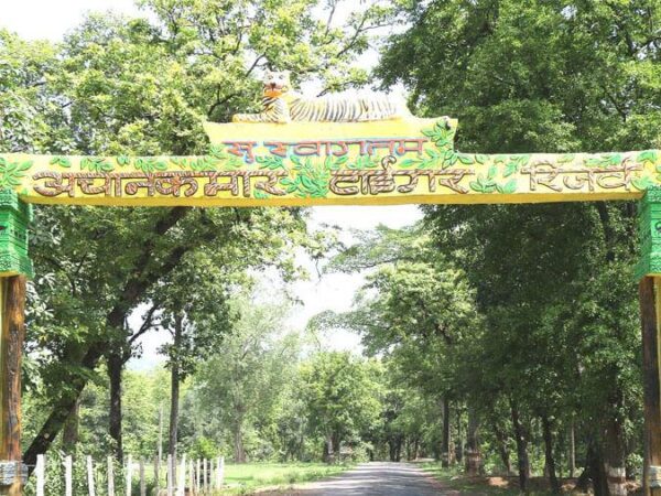 कानन पेंडारी के चीतलों को बहुत जल्द एटीआर के बाहुड में छोड़ा जाएगा, एनटीसीए ने अनुमति दी