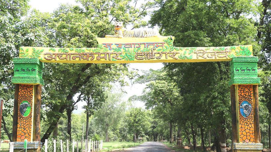 कानन पेंडारी के चीतलों को बहुत जल्द एटीआर के बाहुड में छोड़ा जाएगा, एनटीसीए ने अनुमति दी