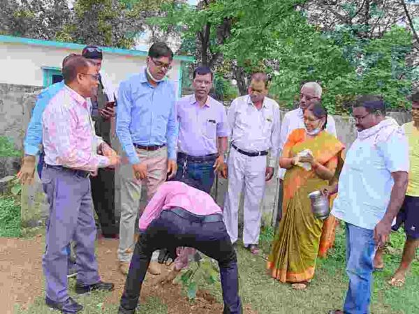 सेवानिवृत्ति पर विदाई वृक्षारोपण भी किया गया