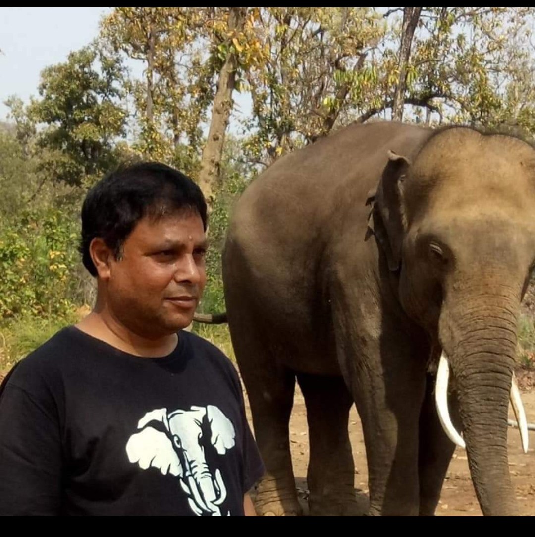 ग्रामीणों को हाथियों के साथ जीने की आदत डालनी ही होगी, नुक्कड़ नाटकों के जरिए प्रभात दुबे जागरूक करने कल पहुंच रहे है मरवाही :डीएफओ मिश्रा