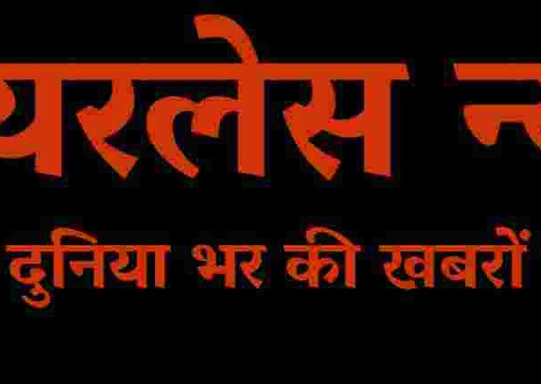 वन विभाग के ट्रेनी SDO की अग्रिम जमानत हुई खारिज,बलात्कार के लगें हैं गंभीर आरोप