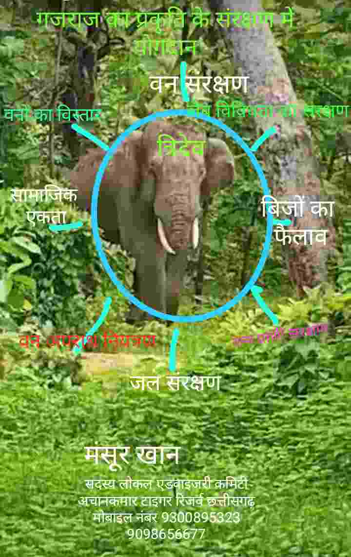 हाथी और इंसान की हो रही मौत रोकने में सब ‘फेल’ होते नजर आ रहे है, सरकार से कारगर परिणाममूलक की उम्मीद