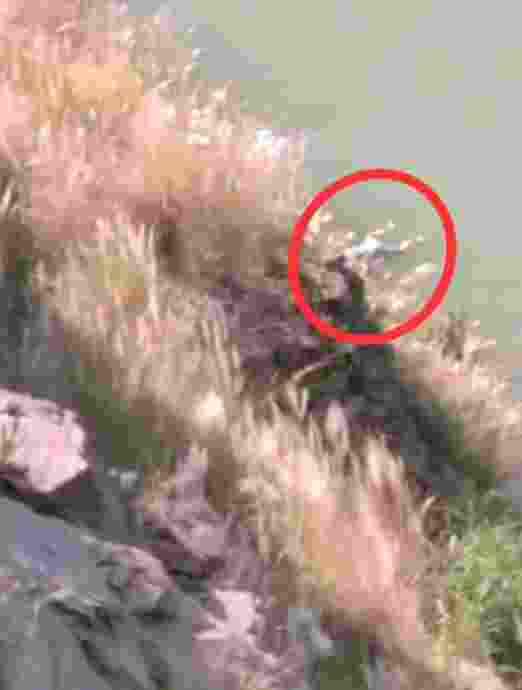 ब्रेकिंग न्यूज़ कोरबा खदान में भरे पानी में तैरती हुई दिखी लाश, कुसमुण्डा से गुम हुई बालिका के होने का अंदेशा…