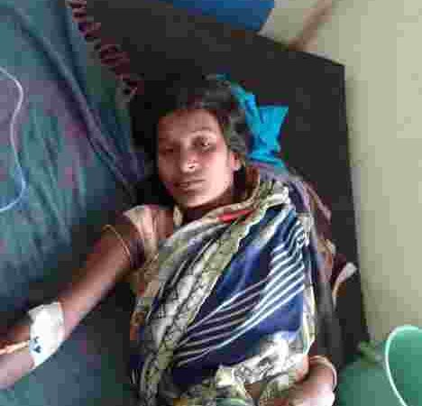 विषैले सर्प ने दो को काटा, कुत्ते के हमले में बच्ची घायल, लगे 17 -टांके