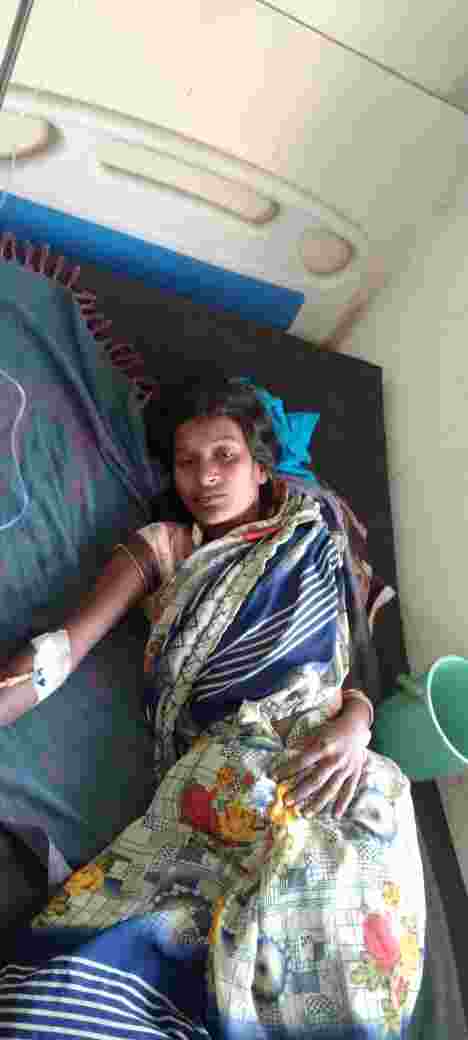 विषैले सर्प ने दो को काटा, कुत्ते के हमले में बच्ची घायल, लगे 17 -टांके
