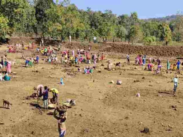 रायपुर : कैम्पा: वन क्षेत्रों में दो वर्षों के दौरान 270 डबरी तथा तालाबों का निर्माण पूर्ण