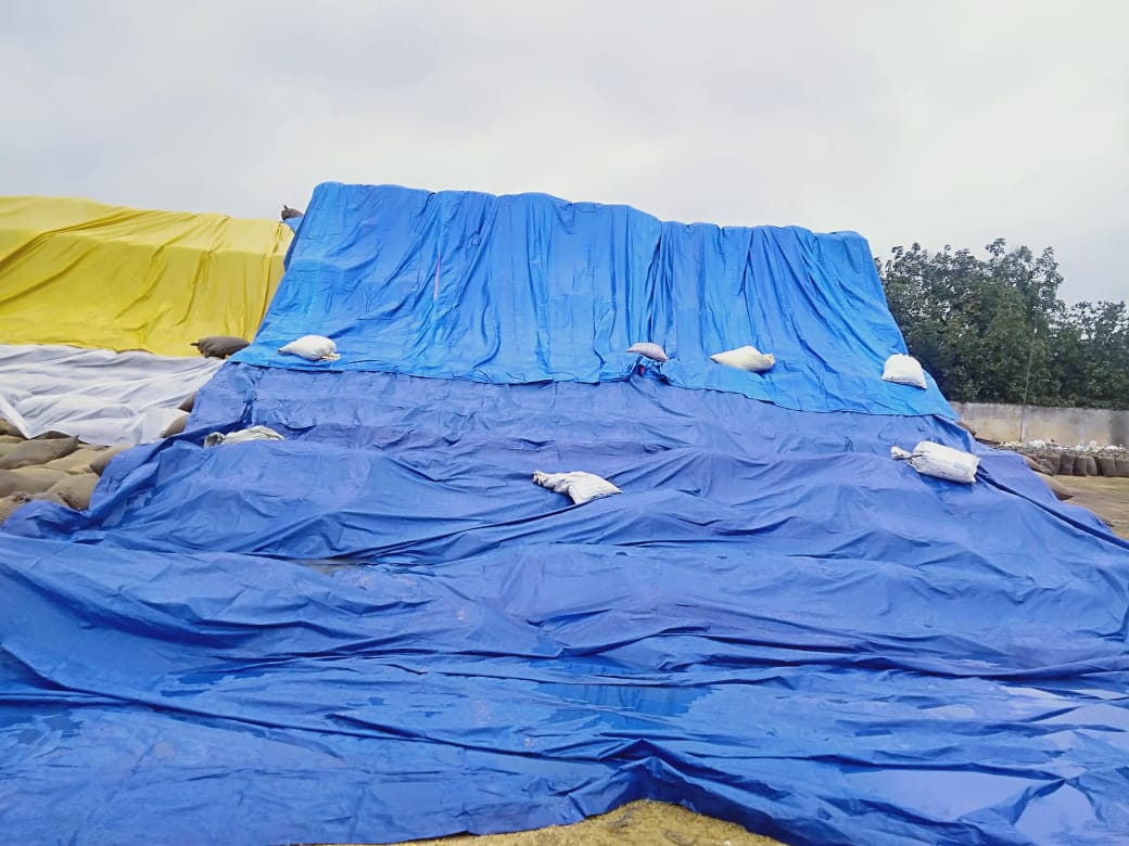 बेमौसम बारिश में धान को भीगने से बचाने उपार्जन केन्द्रों में पर्याप्त व्यवस्था के कलेक्टर ने दिए हैं निर्देश