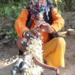 छत्तीसगढ़ का सांस्कृतिक वैभव बांस गीत लुप्तप्राय कला,ऐसी विधाएं नष्ट न हो इसके लिए उचित प्रयास जरूरी