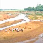 त्रिलोक महावर का कविता संग्रह नदी के लिए सोचो<br>वरिष्ठ साहित्यकार श्री विनोद कुमार शुक्ल द्वारा लोकार्पण
