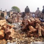 50 लाख की खैर लकड़ी जप्त कर सरायपाली वन विभाग ने लकड़ी तस्करी पर की बड़ी कार्रवाई
