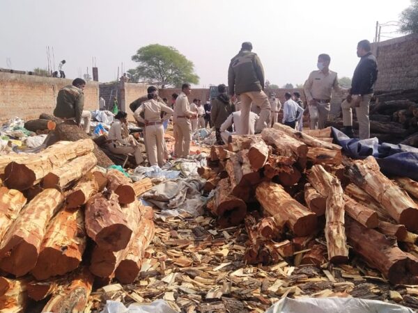 50 लाख की खैर लकड़ी जप्त कर सरायपाली वन विभाग ने लकड़ी तस्करी पर की बड़ी कार्रवाई