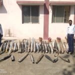मल्टी टोन और मॉडिफाई साइलेंसर वाले बाइकों पर अभियान चला रही यातायात पुलिस….