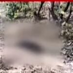 कोटा:  कोरीडेम जंगल मे अधजली लाश की हुई पहचान, पुलिस ने काठाकोनी के दो अपचारी बालक को किया गिरफ्तार