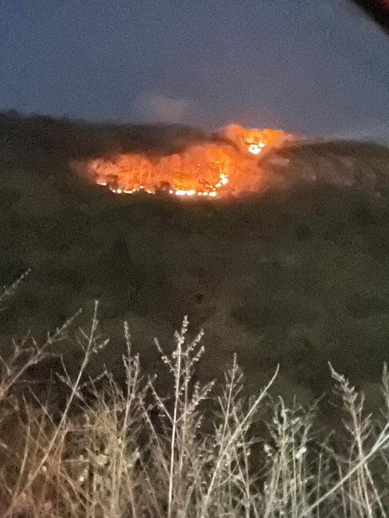 मेडिकल कॉलेज के आगे पहाड़ी में लगी है भीषण आग, वन अमला निष्क्रिय