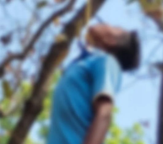 कोरबा कॉफी प्वॉइंट पर फांसी से लटका मिला युवक का शव