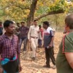 महुआ बीनने गई 8 वर्षीय बच्ची को हाथी ने कुचला मोके पर ही बच्ची की मौत, विभाग ने 25 हजार की आर्थिक सहायता दी