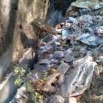 कार्मेल स्कुल बाउंड्रीबाल के पास बदबूदार कचरे से न हो जाये डेंगू की शुरुवात