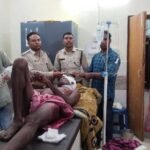 जंगल में दातून तोड़ रहा था चरवाहा, तभी धमक पड़ा भालू, शरीर के कई हिस्से को चीरा