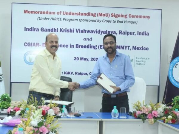 सात समुंदर पार पंहुची इंदिरा गांधी कृषि विश्वविद्यालय की पहचान IGKV और CGIAR के बीच हुआ MOU