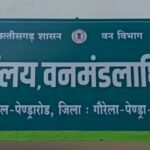 मरवाही वन मंडल में फर्जी लिपिक नियुक्ति का मामला, जांच के बाद बर्खास्तगी पर कोई कार्यवाही नहीं करोड़ों का आसामी है वन विभाग में पदस्थ फर्जी नियुक्ति पाने वाला लिपिक,वन विभाग दे रहा है संरक्षण