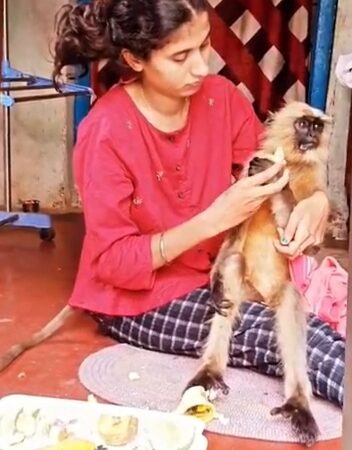 जैव विविधता प्रबंधन समिति ने निधी तिवारी को उत्कृष्ट कार्य के लिए किया  सम्मानित