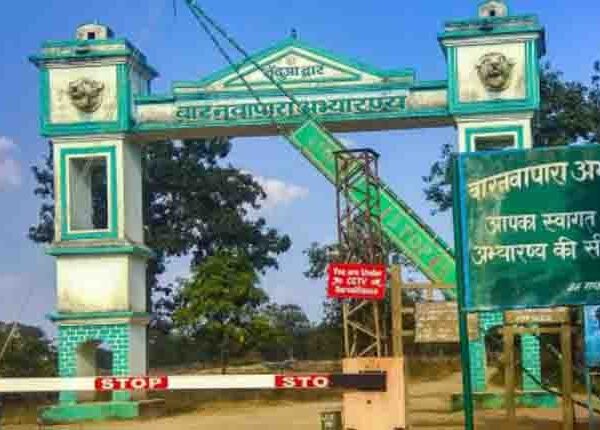 ब्रेकिंग न्यूज़- छत्तीसगढ़ के बारनवापारा अभ्यारण्य क्षेत्र में सोने के भंडार की खोज पर लगी रोक