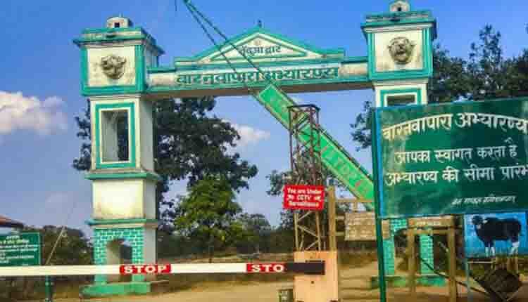 ब्रेकिंग न्यूज़- छत्तीसगढ़ के बारनवापारा अभ्यारण्य क्षेत्र में सोने के भंडार की खोज पर लगी रोक