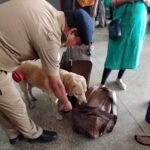 मिशन ऑपरेशन नारकोस…<br>रायपुर रेल्वे स्टेशन में मादक पदार्थो की तस्करी को रोकने श्वान दस्ता एवम बैग स्कैनर और यात्रियों की चेकिंग शुरू