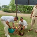 आजादी के अमृत महोत्सव के उपलक्ष्य रेसुब शहडोल ने किया वृक्षारोपण 130 पौधे लगाए शीतलपेय जल भी यात्रियों को पिलाया