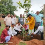 जय गुरु देव गौ सेवा संस्थान में गोपालक सम्मेलन वृक्षारोपण एवं अभिनंदन समारोह का हुआ आयोजन