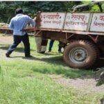 ब्रेकिंग- कानन जु का भालू फिर हुआ कैद, इसने न्यायधानी से लेकर राजधानी तक अधिकारियों की सांसें फुला रखी थी