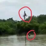 गोकुलधाम के पास टूटे तार को जोड़ने पानी में तैरकर पहुंचे विद्युतकर्मी<br>कर्मियों ने दिखाया साहस-कार्यपालक निदेशक