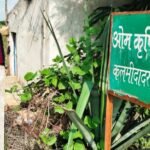 रायगढ़ कलेक्टर रानू साहू के भाई के सब्जी फार्म हाउस में ईडी का छापा ?