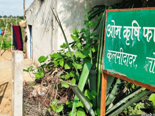 रायगढ़ कलेक्टर रानू साहू के भाई के सब्जी फार्म हाउस में ईडी का छापा ?