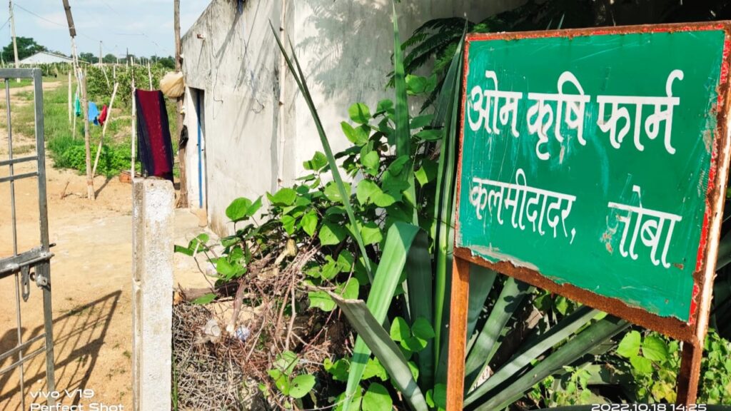 रायगढ़ कलेक्टर रानू साहू के भाई के सब्जी फार्म हाउस में ईडी का छापा ?