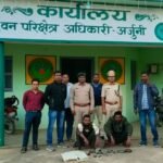 वन्यप्राणियों का शिकार करने विद्युत तार बिछाते 2 आरोपियों को वन कर्मियों ने किया गिरफ्तार