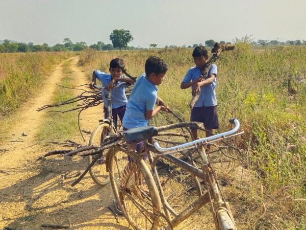 वायरलेस न्यूज़ की खबर के बाद बड़ा एक्शन ,स्कूल अवधि में बच्चों से लकड़ी ढुलाई को शिक्षा विभाग ने माना गंभीर लापरवाही, प्रभारी प्रधान पाठक को किया गया निलंबित