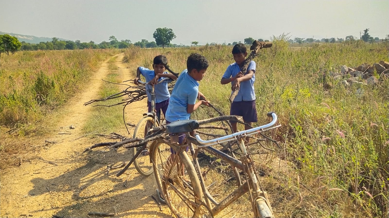 वायरलेस न्यूज़ की खबर के बाद बड़ा एक्शन ,स्कूल अवधि में बच्चों से लकड़ी ढुलाई को शिक्षा विभाग ने माना गंभीर लापरवाही, प्रभारी प्रधान पाठक को किया गया निलंबित