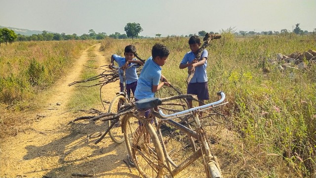 वायरलेस न्यूज़ की खबर के बाद बड़ा एक्शन, स्कूल अवधि में बच्चों से लकड़ी ढुलाई को शिक्षा विभाग ने माना गंभीर लापरवाही, प्रभारी प्रधान पाठक को किया गया निलंबित