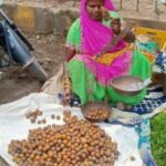 औषधीय गुणो से भरपूर स्वादिष्ट जंगली फल “तेंदू” बाजार में बिकने के लिए पहुंचा