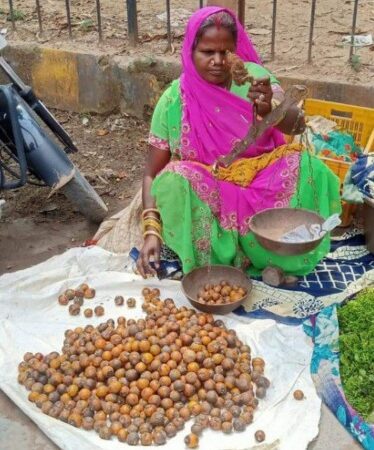 औषधीय गुणो से भरपूर स्वादिष्ट जंगली फल “तेंदू” बाजार में बिकने के लिए पहुंचा