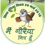 विश्व गोरैया दिवस:<br>कहां गई आंगन में फुदकने वाली गौरैया ?